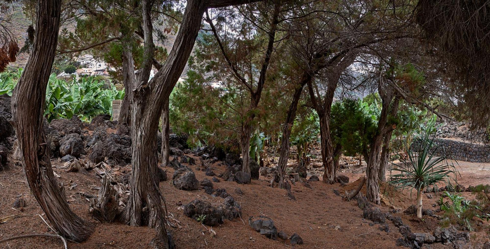 Las Sabinas Villa - El Guincho, Garachico Garachico  Exteriér fotografie